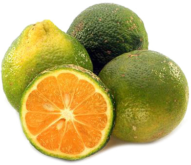 LIMÓN MANDARINA