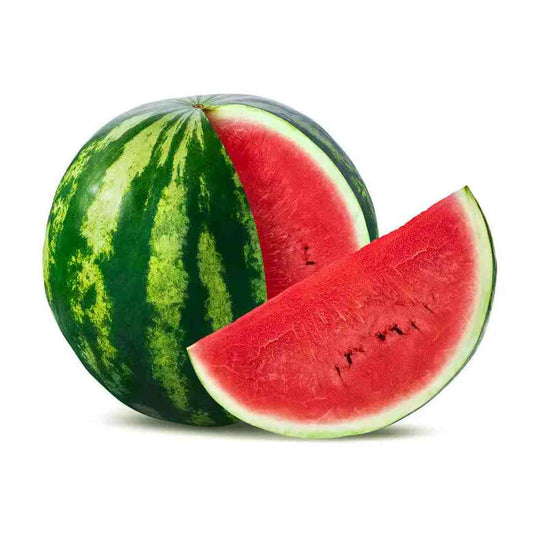 SANDIA KG