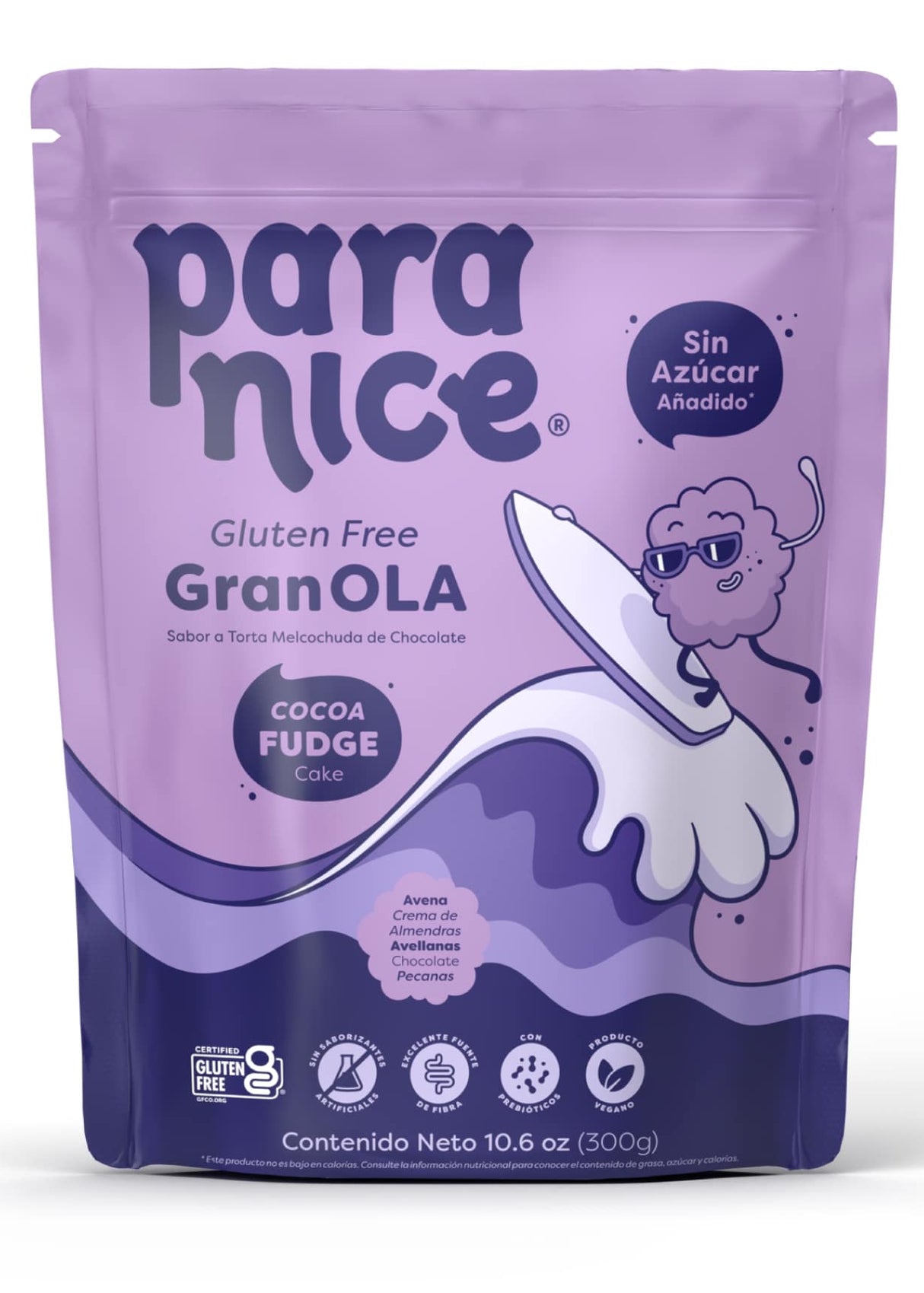 GRANOLA COCOA FUDGE CAKE PARANICE 300g