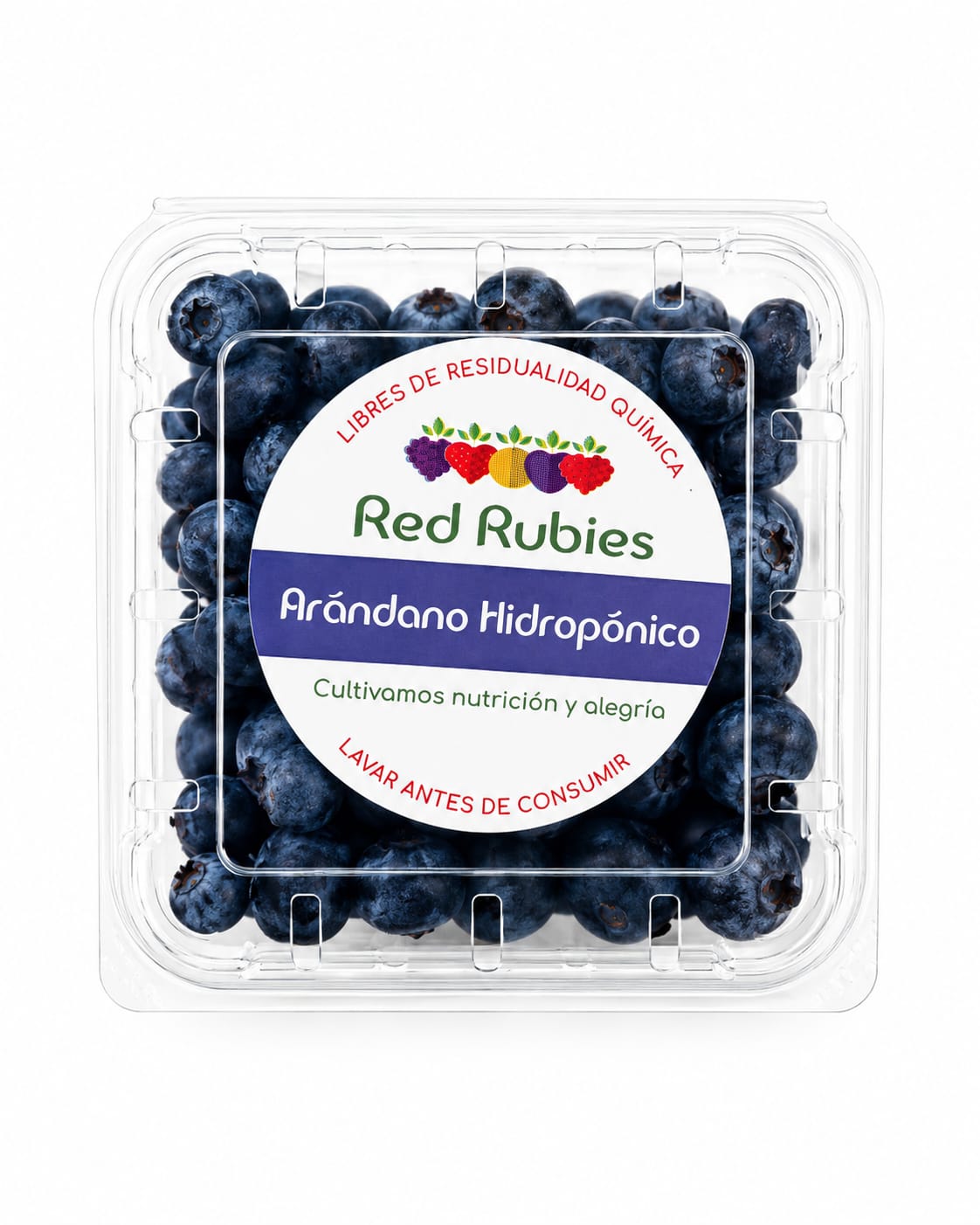 ARÁNDANOS EN BANDEJA 125G - RED RUBIES