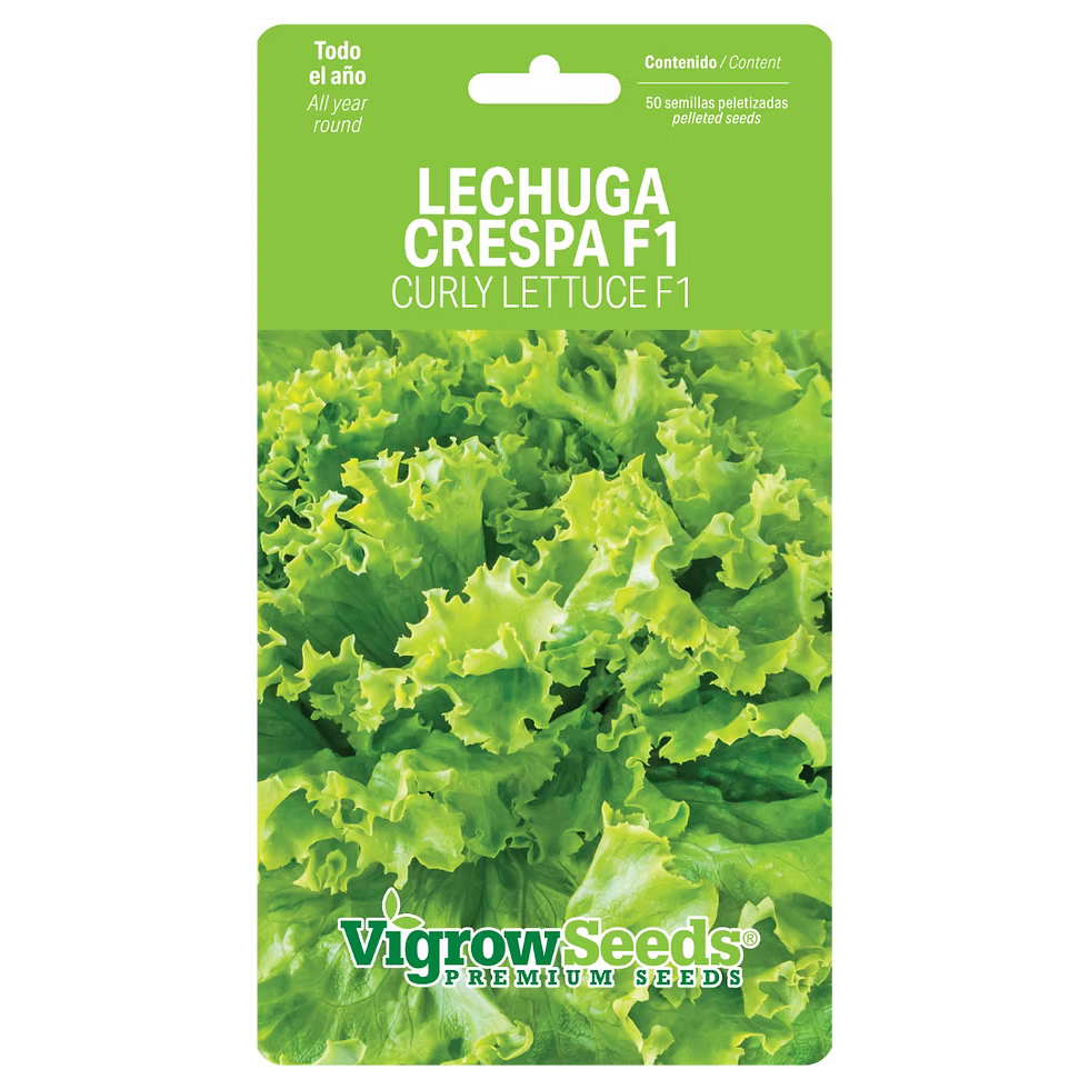 SEMILLA LECHUGA CRESPA VIGROW SEEDS 1.5G