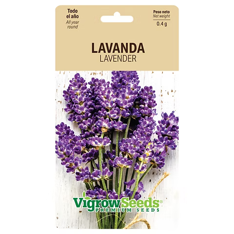 SEMILLA LAVANDA VIGROW SEEDS 0.4G