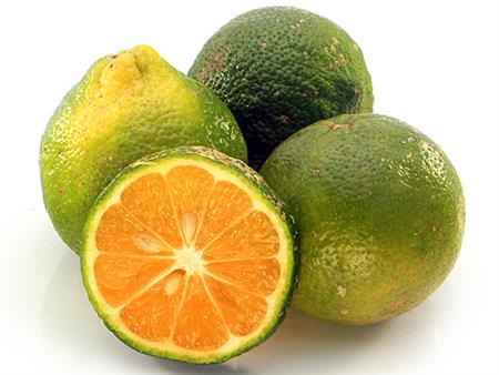 LIMON MANDARINA