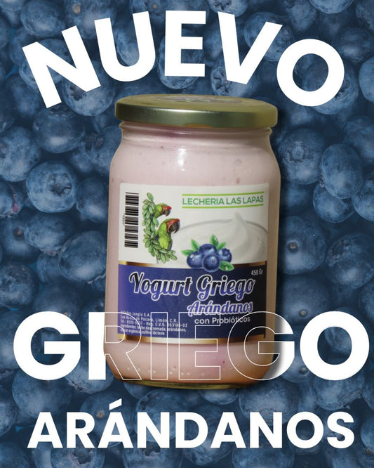 YOGURT GRIEGO ARANDANO LAS LAPAS 450ML