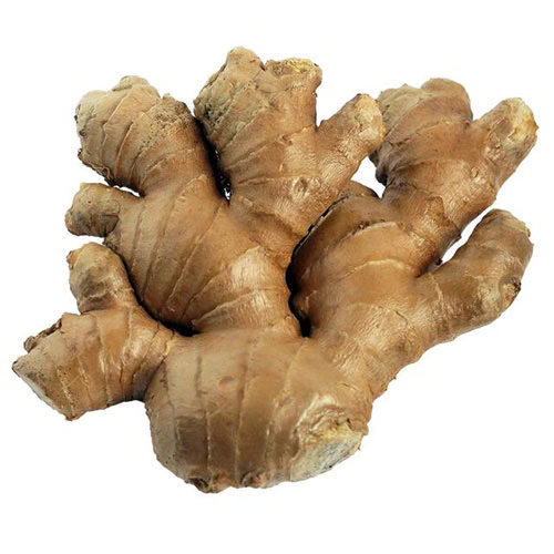 JENGIBRE ORGANICO KG