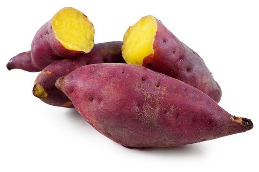 CAMOTE KG