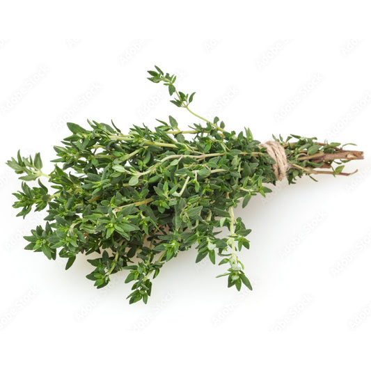 TOMILLO ORGANICO ROLLO