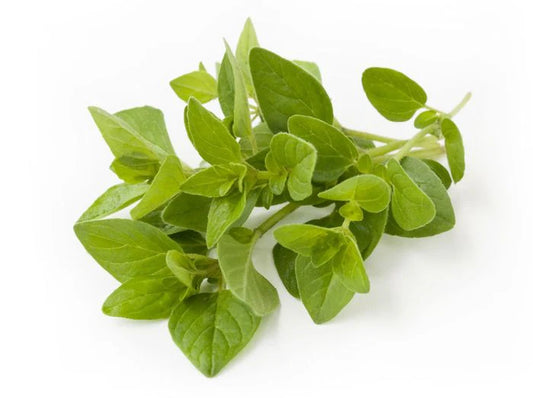 OREGANO ORGANICO UNIDAD