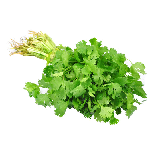 CULANTRO ORGANICO 80G