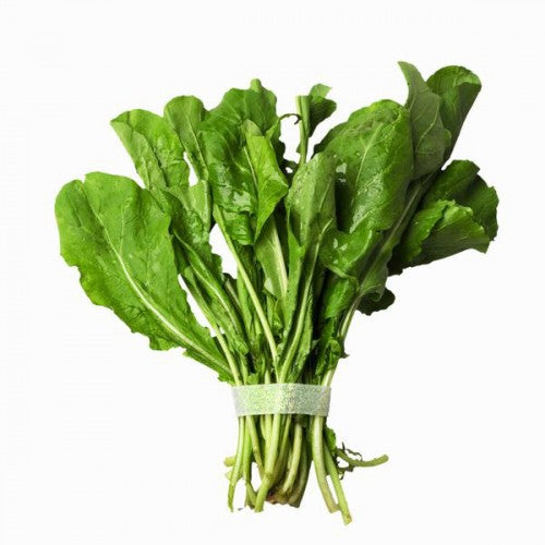 ARUGULA ORGANICA 100G