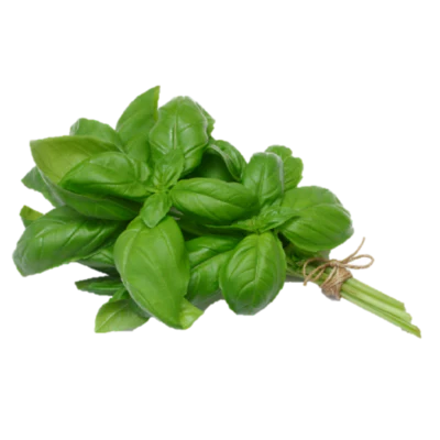ALBAHACA ORGANICA 80G