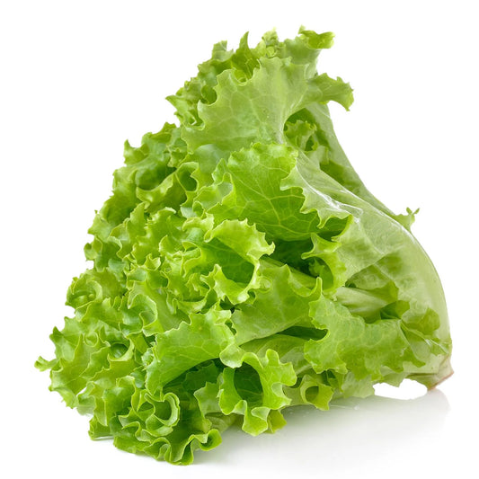 LECHUGA AMERICANA UNIDAD