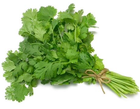 CULANTRO ROLLO UNIDAD