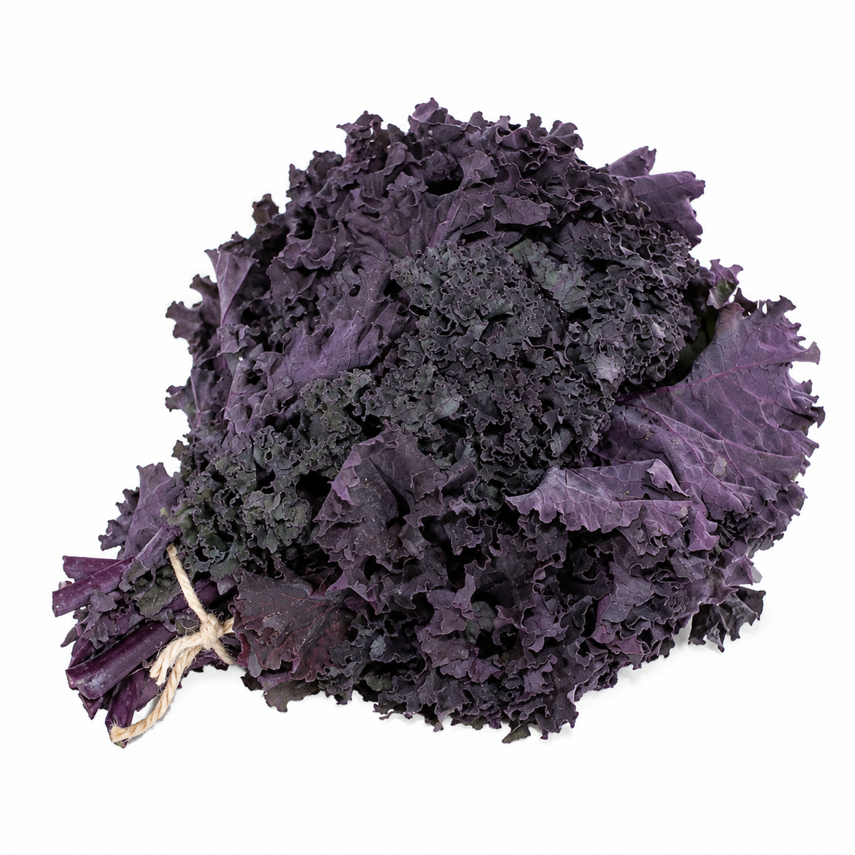 KALE MORADO ORGÁNICO 100G