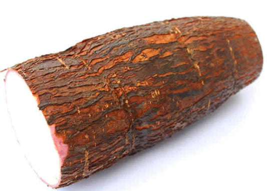 YUCA KG