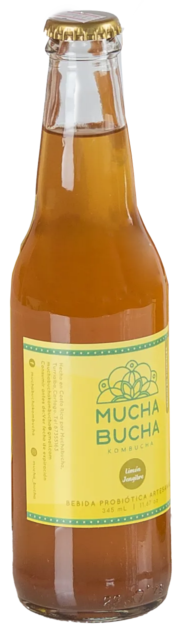 LIMON JENGIBRE MUCHA BUCHA 355ML