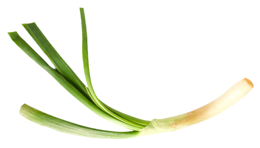 CEBOLLINO ORGÁNICO 250G