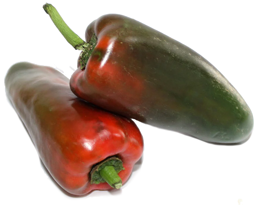 CHILE ORGÁNICO UNIDAD