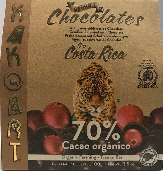 CHOCOLATE ARANDANO 70% BRUNO 100g