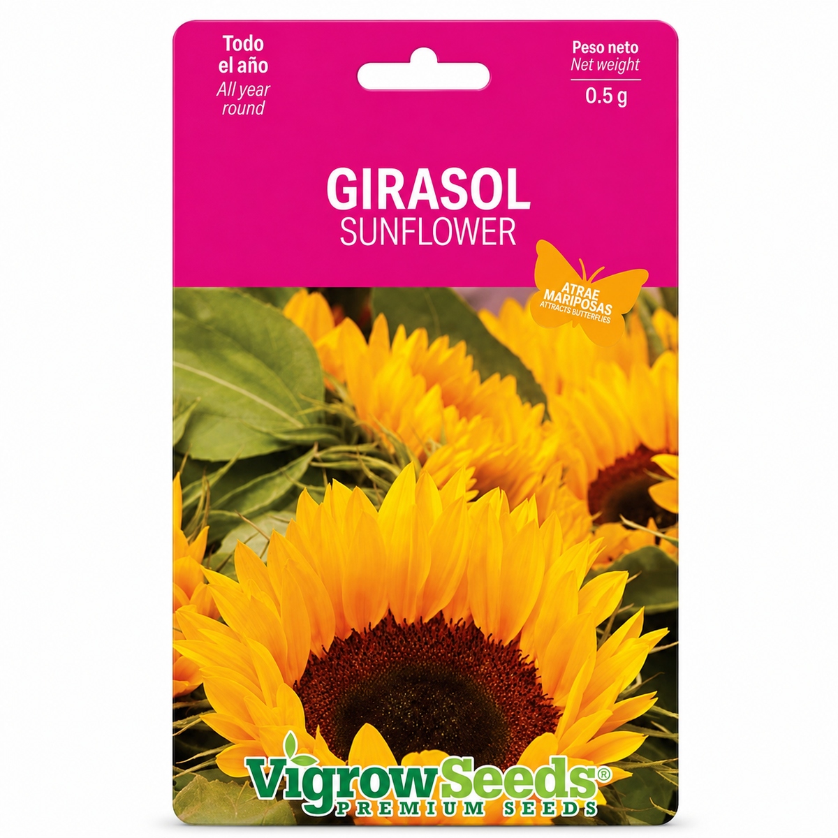 SEMILLA GIRASOL VIGROW SEEDS 0.5G