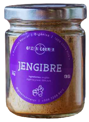 JENGIBRE GREEN CORNER  FRASCO40G