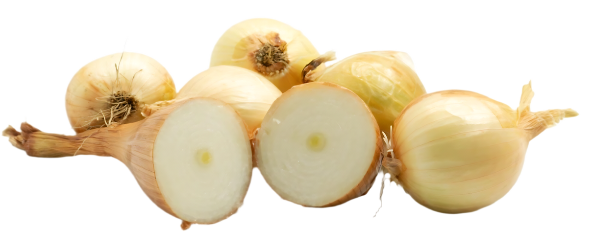 CEBOLLA ORGÁNICA KG