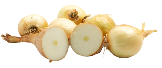 CEBOLLA ORGÁNICA KG